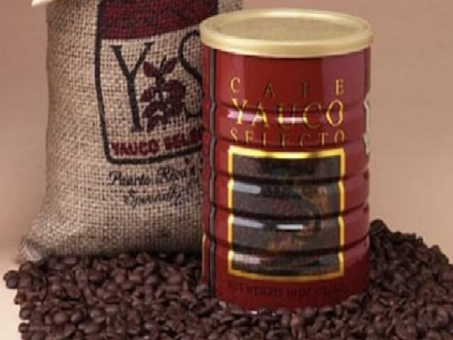 Most Expensive Coffee 8 - Most Expensive Coffee in the World