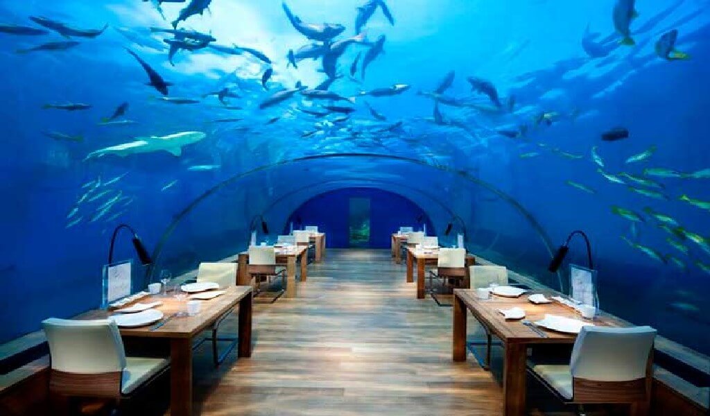 Most Expensive Restaurant in the World 7 - Most Expensive Restaurant in the World
