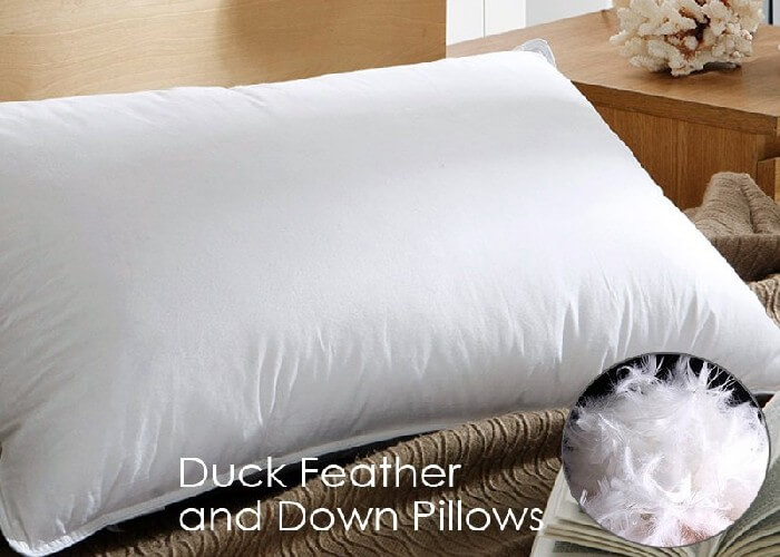 Most Comfortable Pillow 3 - Best Comfortable Pillow 2021 - Best Pillows for Side Sleepers