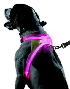 Noxgear LightHound Illuminated Harnes 236x300 - Best Dog Harness - Best No Pull Dog Harness Reviews