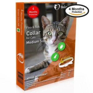 Atom Tech 300x300 - Complete Guide for Best Flea Collar for Cats