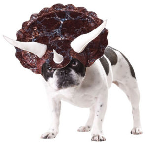 Pet 20104 Triceratops Dog Costume by Animal Planet 300x295 - Designer Dog Clothing - Complet Reviews for Best Dog Outfits