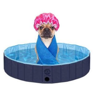 Kopeks Pool 300x300 - Dog Bath Tub for Home - Full Guide for Best Dog Bath Tubs