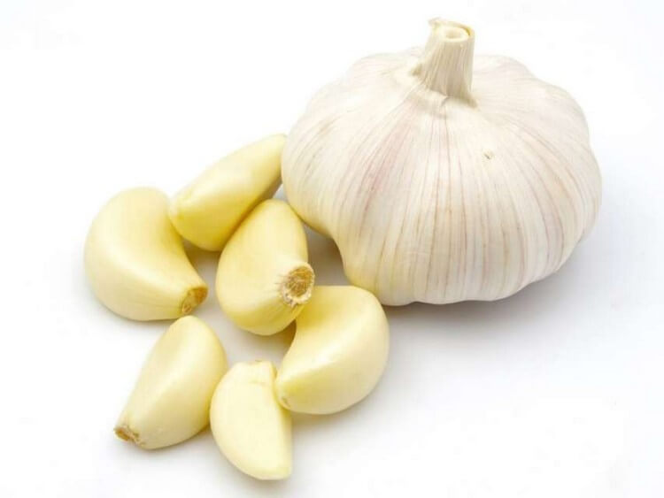 Garlic - Top 10 Most Nutritious Foods in the World